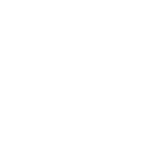 Health icon