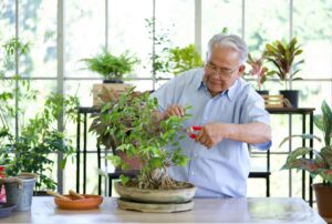 Hospitalist Care Smoother Recoveries After Hospital Stays